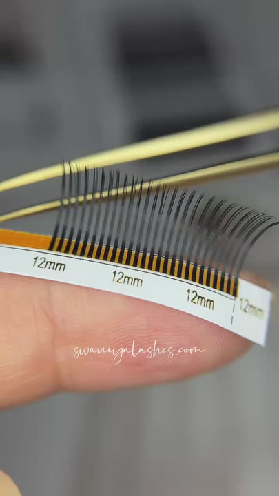 Wispy Lash Extensions 0.07mm - Swaniyalashes
