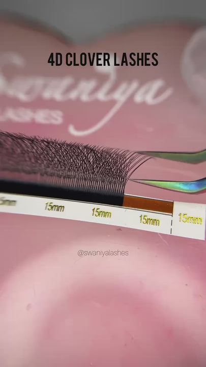 4D W Lashes 0.07mm - Swaniyalashes